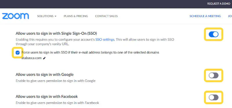 Zoom Security Issues: phishing